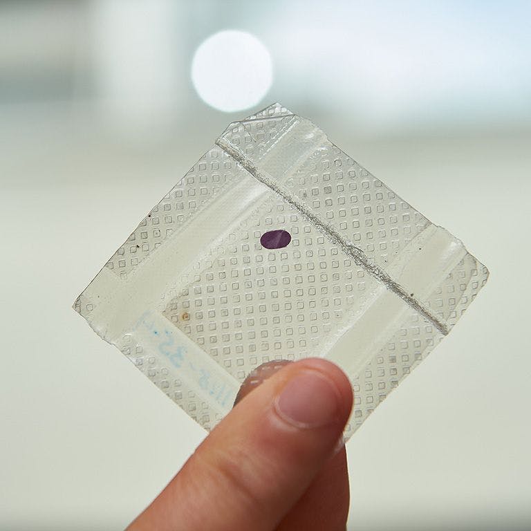 LambdaVision’s protein-based retinal implant the small purple dot, which is about the size of a paper punch. (Image credit: Peter Morenus/UConn Photo)